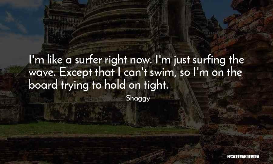 Shaggy Quotes 1342619