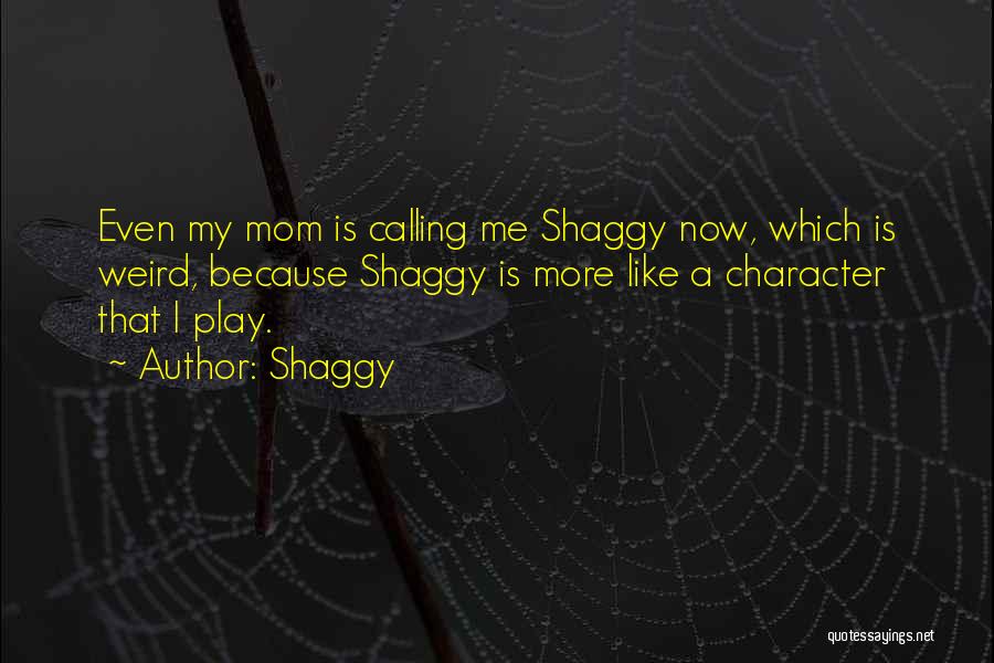 Shaggy Quotes 664332