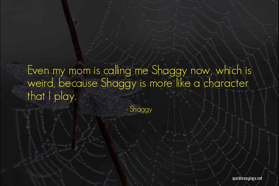 Shaggy Quotes 664332