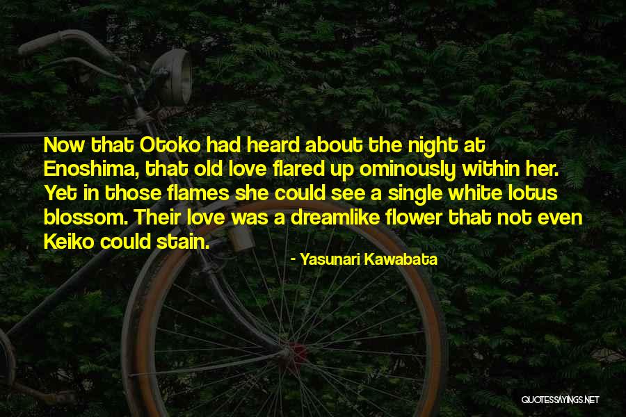 Shaghayegh Dariush Quotes By Yasunari Kawabata Shaghayegh Dariush Quotes By Yasunari Kawabata