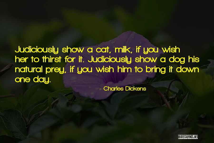 Shagun Quotes By Charles Dickens Shagun Quotes By Charles Dickens