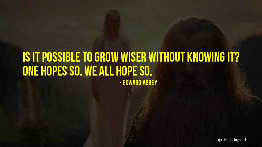 Shahani Associates Quotes By Edward Abbey Shahani Associates Quotes By Edward Abbey