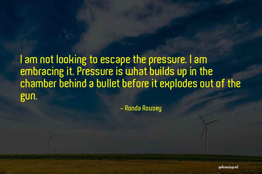 Shahaub Roudbaris Birthplace Quotes By Ronda Rousey Shahaub Roudbaris Birthplace Quotes By Ronda Rousey
