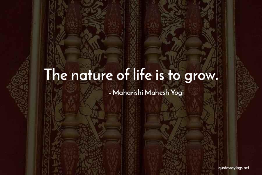 Shahid Ali Quotes By Maharishi Mahesh Yogi Shahid Ali Quotes By Maharishi Mahesh Yogi