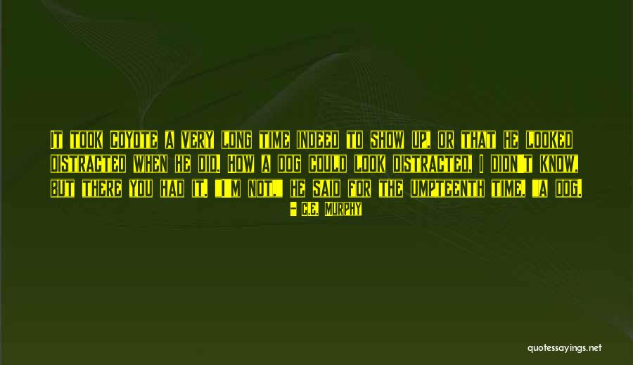 Shahihfiqih Quotes By C.E. Murphy Shahihfiqih Quotes By C.E. Murphy