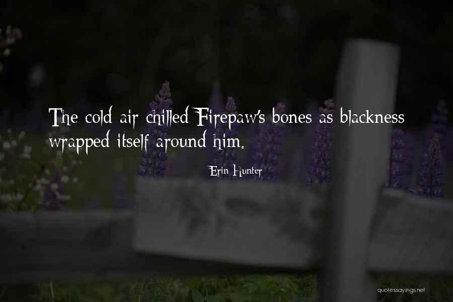 Shahinda Sufi Quotes By Erin Hunter Shahinda Sufi Quotes By Erin Hunter