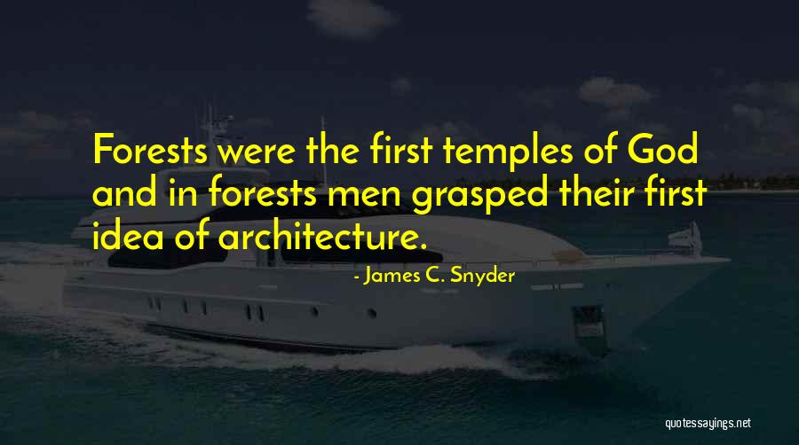 Shahmir Moussavi Quotes By James C. Snyder Shahmir Moussavi Quotes By James C. Snyder