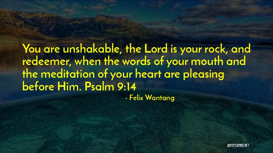 Shahriari Mona Quotes By Felix Wantang Shahriari Mona Quotes By Felix Wantang