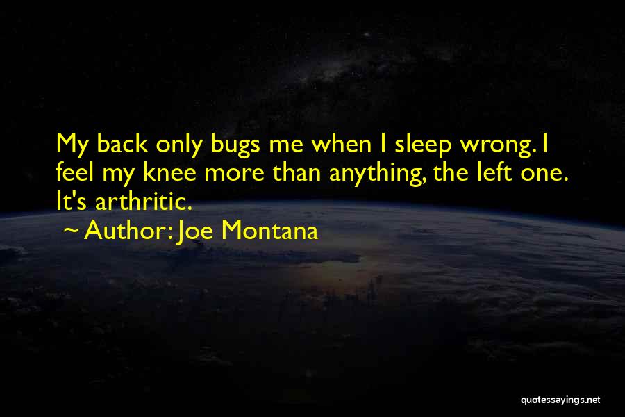 Shahrokh Estakhri Quotes By Joe Montana
