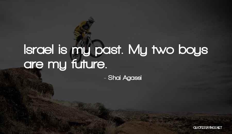 Shai Agassi Quotes 280445