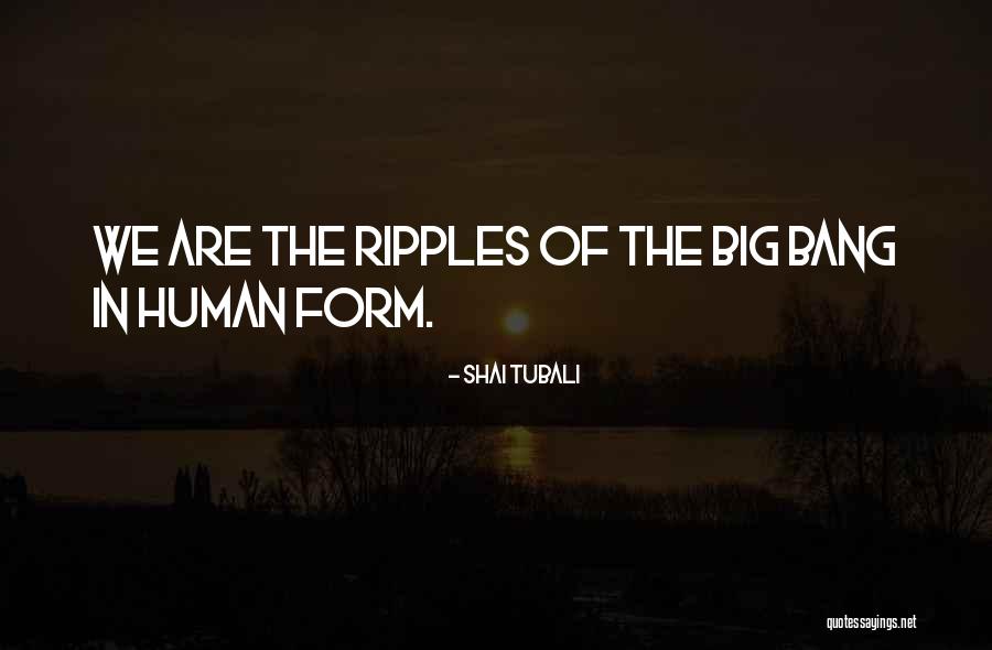 Shai Quotes By Shai Tubali Shai Quotes By Shai Tubali