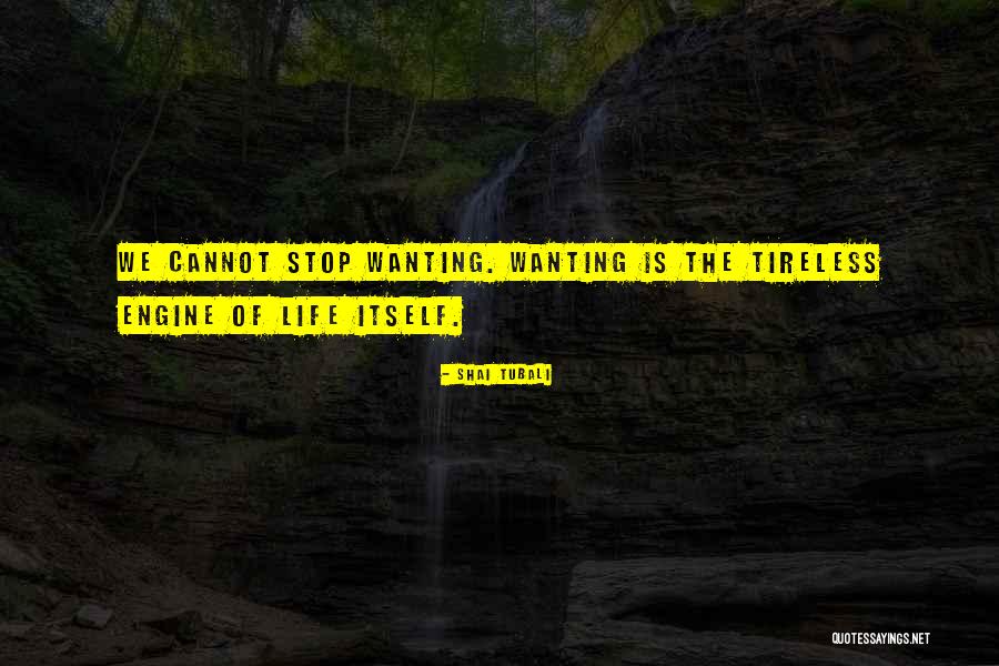 Shai Quotes By Shai Tubali Shai Quotes By Shai Tubali