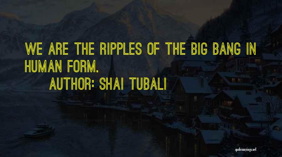 Shai Tubali Quotes 1810224
