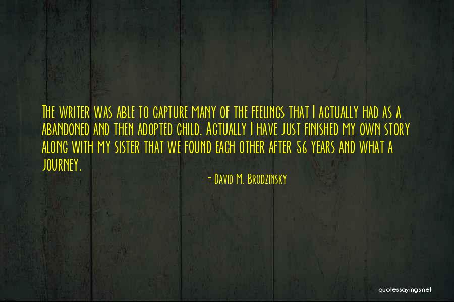 Shailee Adoption Quotes By David M. Brodzinsky Shailee Adoption Quotes By David M. Brodzinsky