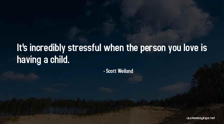 Shaindel Kost Quotes By Scott Weiland Shaindel Kost Quotes By Scott Weiland