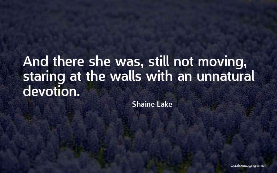 Shaine Lake Quotes 1688314