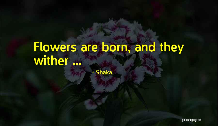 Shaka Quotes 2152507