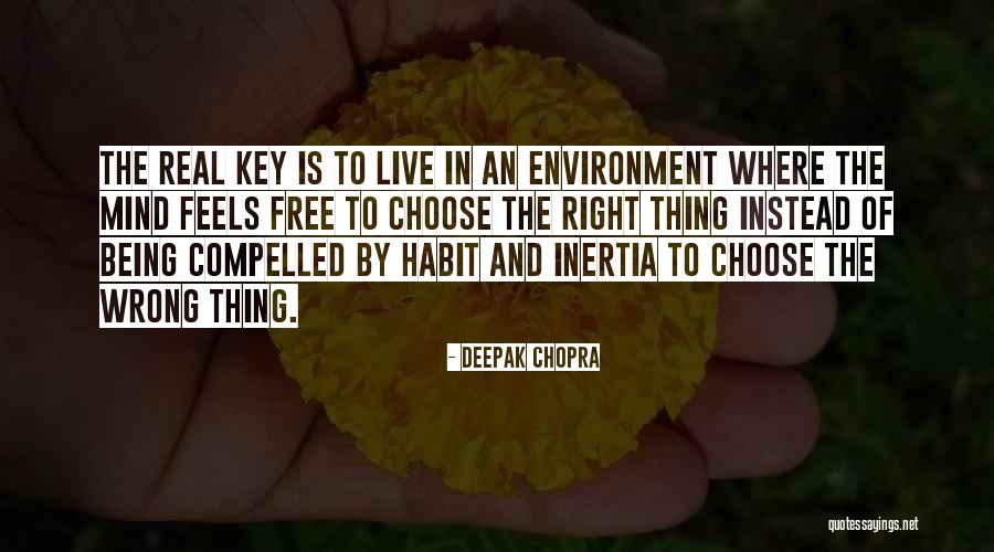 Shakar Wanda Quotes By Deepak Chopra Shakar Wanda Quotes By Deepak Chopra