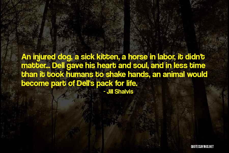Shake Hands Quotes By Jill Shalvis Shake Hands Quotes By Jill Shalvis