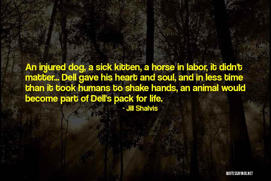 Shake Hands Quotes By Jill Shalvis