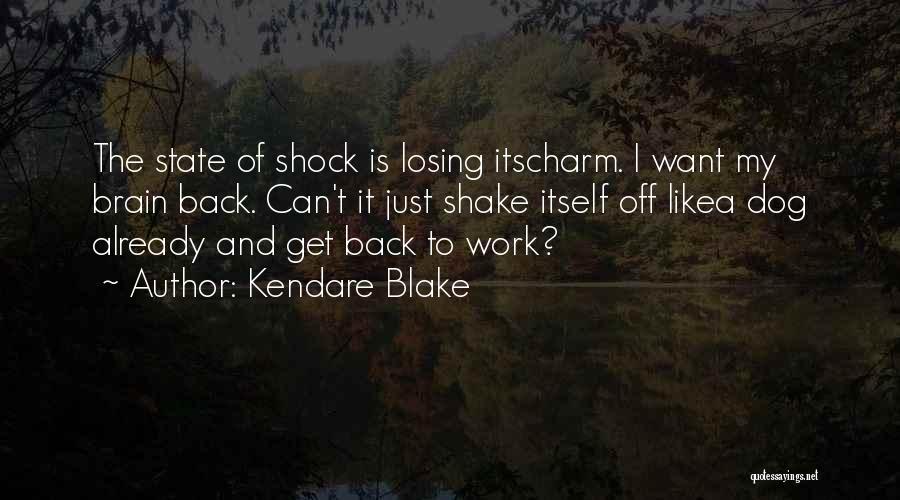 Shake It Off Quotes By Kendare Blake