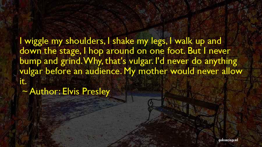 Shake It Up Quotes By Elvis Presley