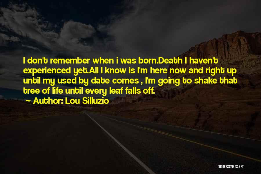 Shake It Up Remember Me Quotes By Lou Silluzio