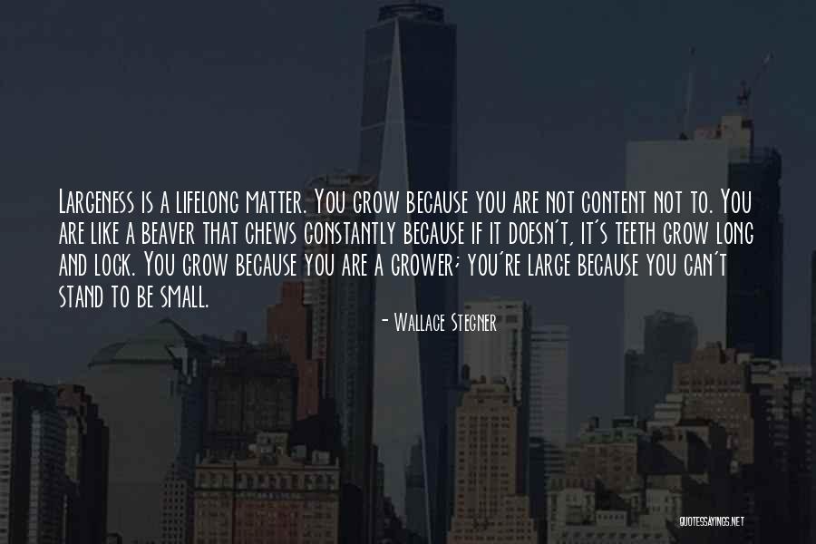 Shake N Bake Quotes By Wallace Stegner Shake N Bake Quotes By Wallace Stegner