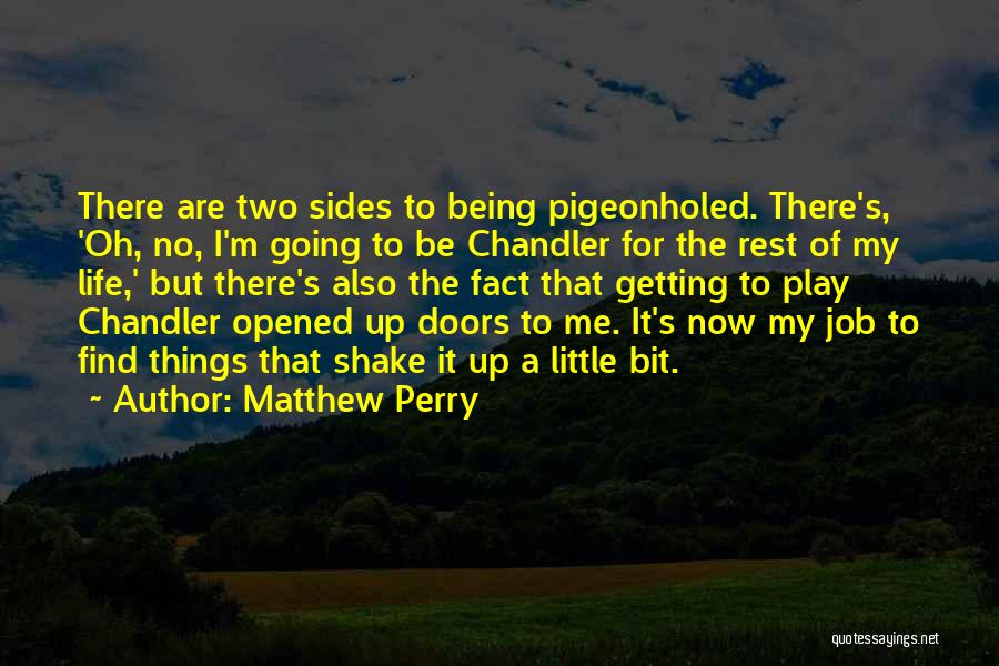 Shake Things Up Quotes By Matthew Perry