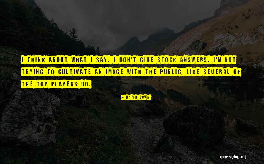 Shakedown Stream Quotes By David Duval Shakedown Stream Quotes By David Duval