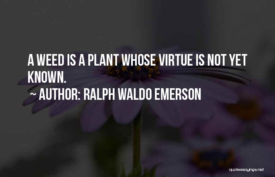 Shakeela Malayalam Quotes By Ralph Waldo Emerson