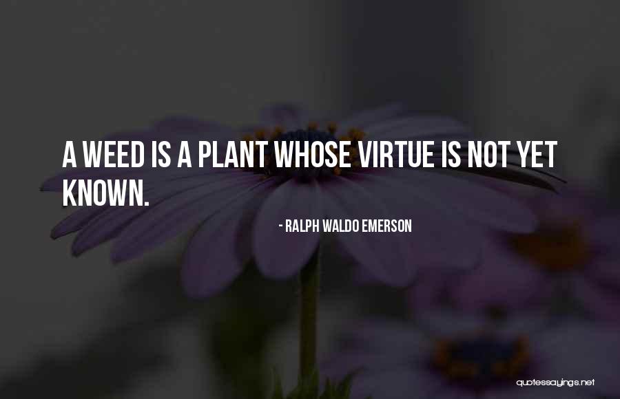 Shakeela Malayalam Quotes By Ralph Waldo Emerson Shakeela Malayalam Quotes By Ralph Waldo Emerson