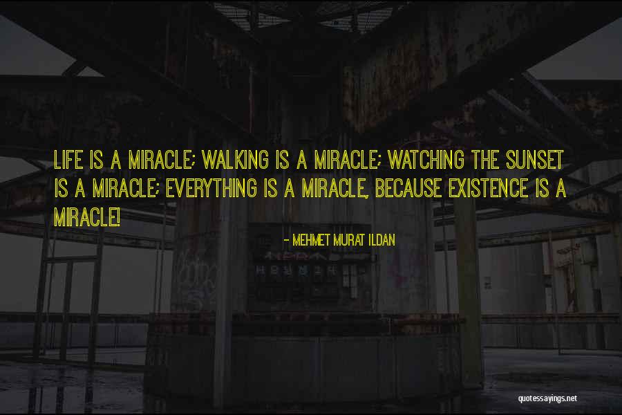 Shakeeta Lickert Quotes By Mehmet Murat Ildan Shakeeta Lickert Quotes By Mehmet Murat Ildan