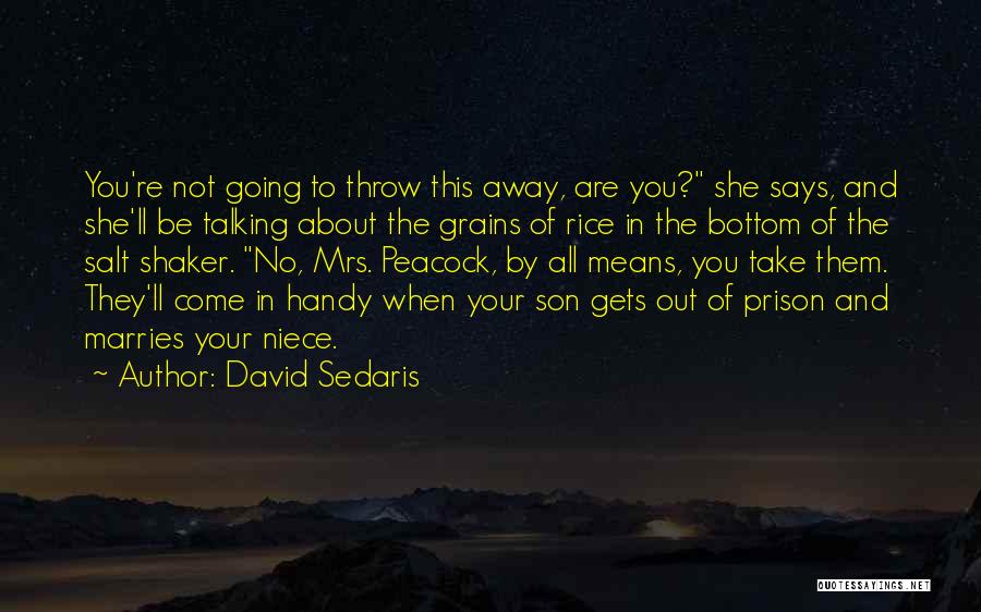 Shaker Quotes By David Sedaris