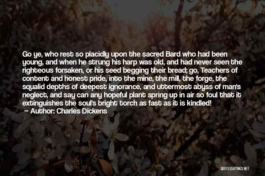 Shakespeare Bard Quotes By Charles Dickens