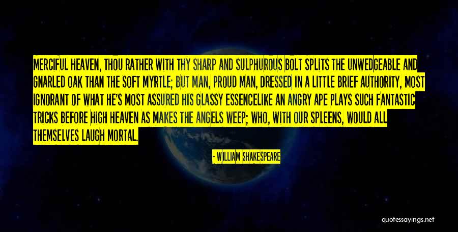 Shakespeare Plays Quotes By William Shakespeare