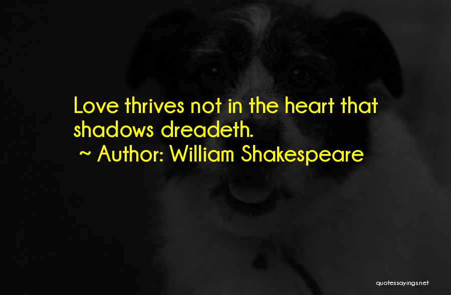 Shakespeare Shadows Quotes By William Shakespeare