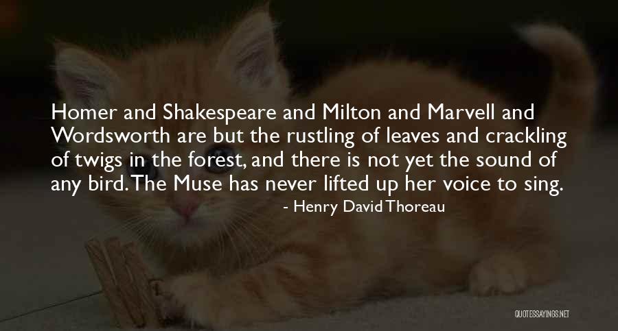 Shakespeare Sound Quotes By Henry David Thoreau Shakespeare Sound Quotes By Henry David Thoreau