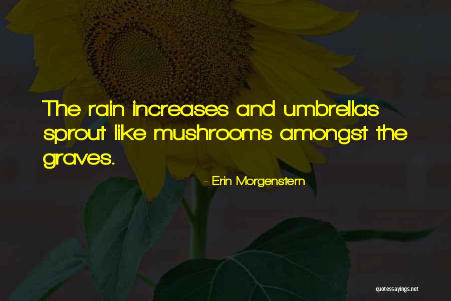 Shakespires Quotes By Erin Morgenstern Shakespires Quotes By Erin Morgenstern