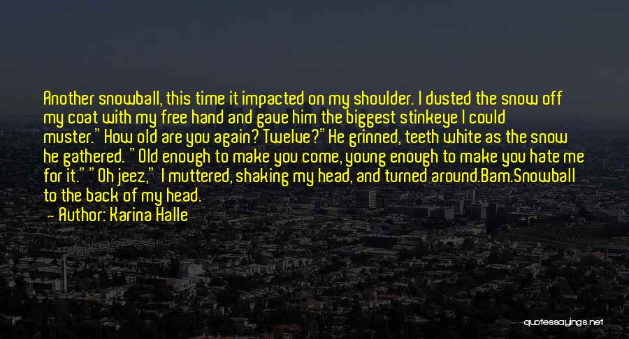 Shaking It Off Quotes By Karina Halle