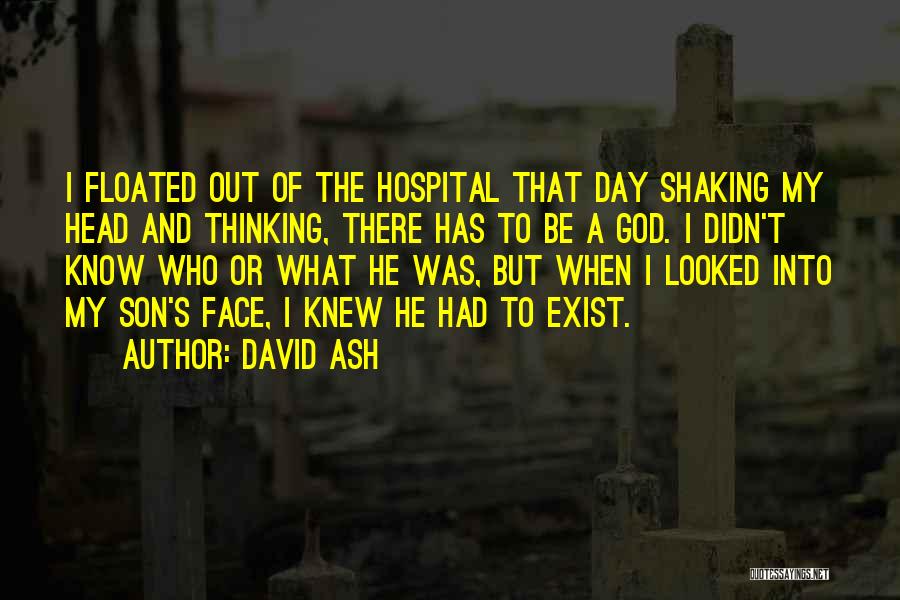 Shaking My Head Quotes By David Ash