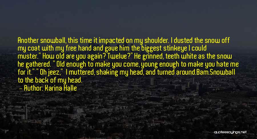 Shaking My Head Quotes By Karina Halle