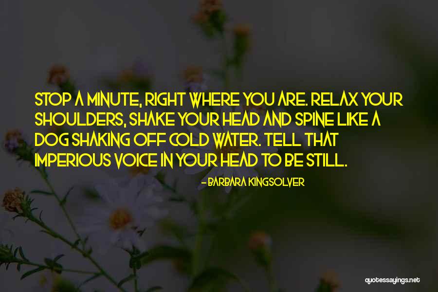 Shaking Off Quotes By Barbara Kingsolver Shaking Off Quotes By Barbara Kingsolver