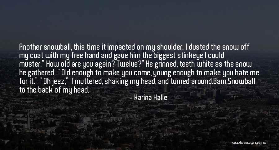 Shaking Off Quotes By Karina Halle Shaking Off Quotes By Karina Halle