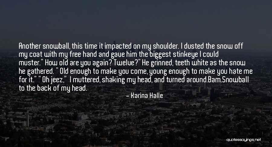 Shaking Off Quotes By Karina Halle