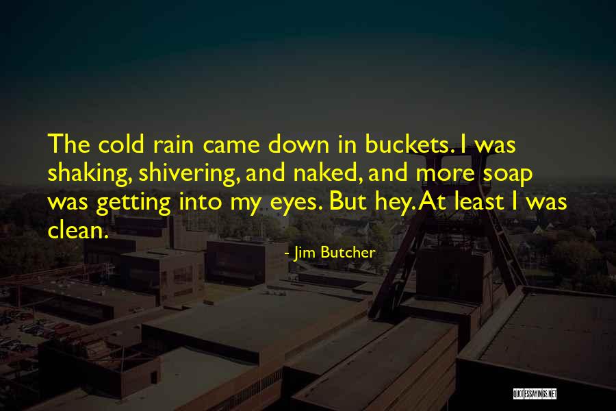 Shaking Quotes By Jim Butcher Shaking Quotes By Jim Butcher