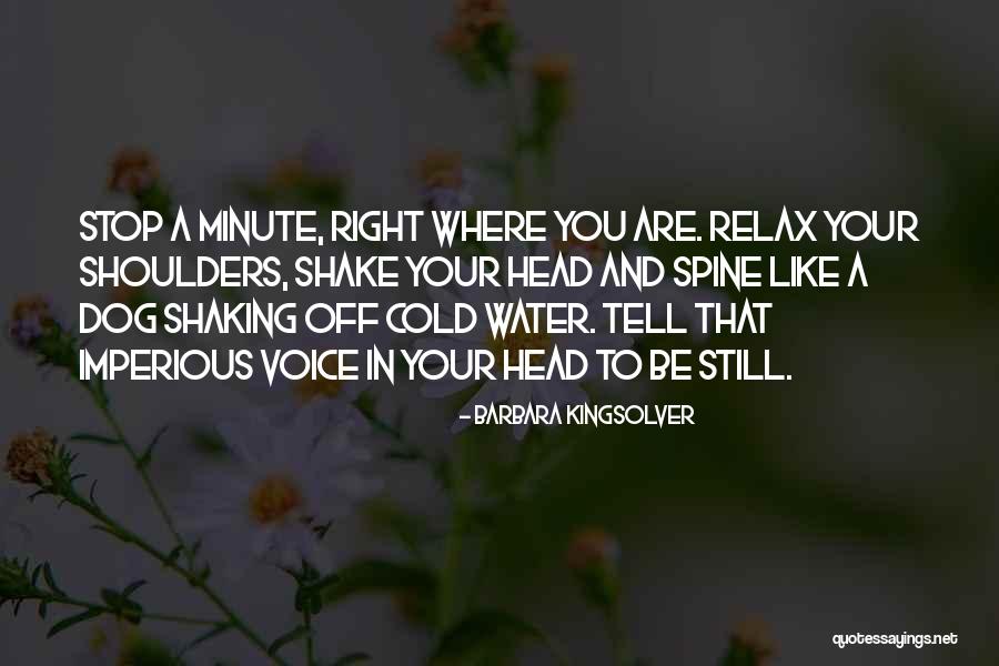 Shaking Your Head Quotes By Barbara Kingsolver Shaking Your Head Quotes By Barbara Kingsolver