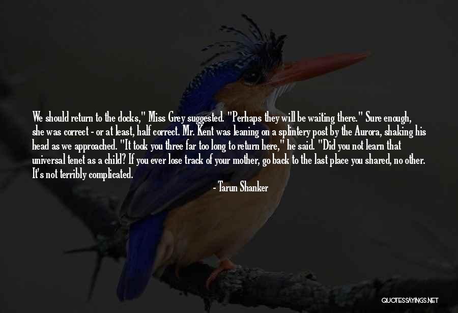 Shaking Your Head Quotes By Tarun Shanker Shaking Your Head Quotes By Tarun Shanker