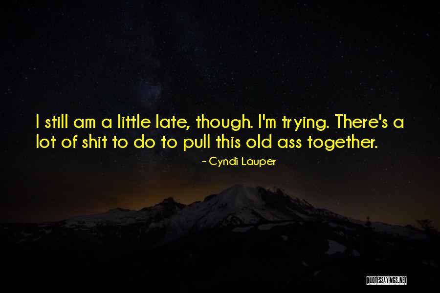 Shakman Settlement Quotes By Cyndi Lauper Shakman Settlement Quotes By Cyndi Lauper