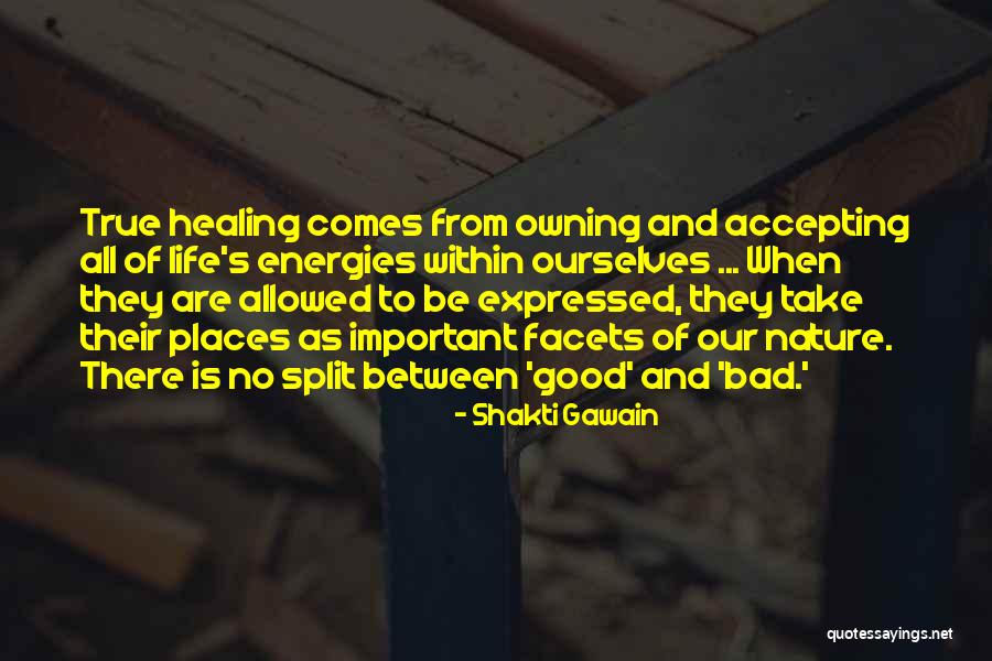 Shakti Gawain Quotes 116614